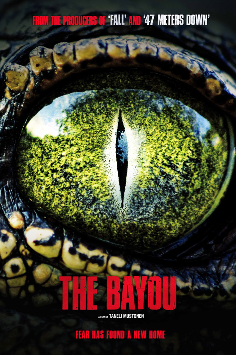 The Bayou
